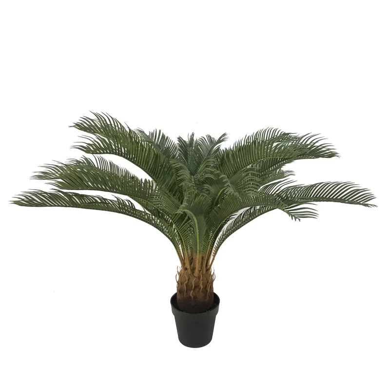 Artificial Cycas Sago Bonsai P - đánh giá và giá Home Decor Handicraft