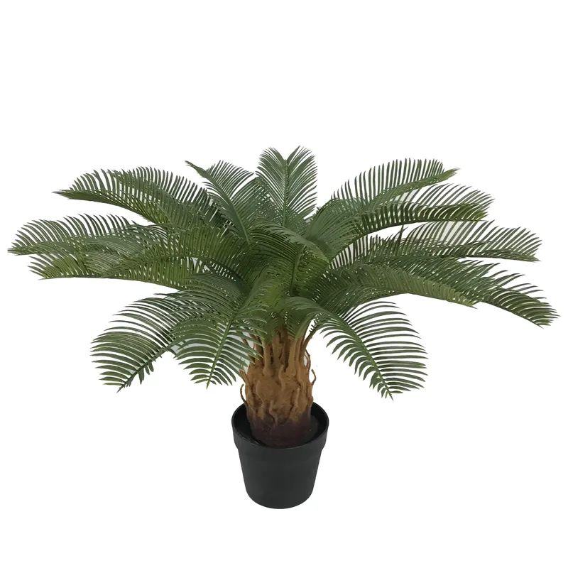 Artificial Cycas Sago Bonsai P - đánh giá và giá Home Decor Handicraft