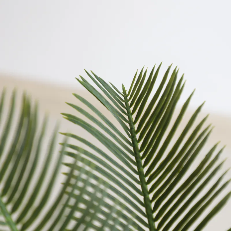 Artificial Cycas Sago Bonsai P - đánh giá và giá Home Decor Handicraft