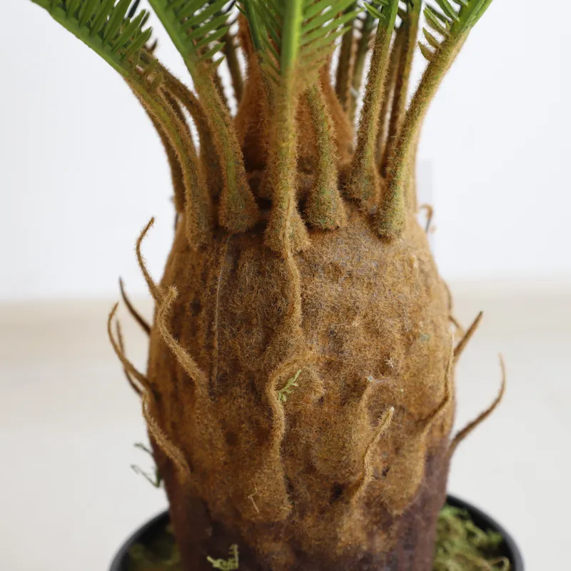 Artificial Cycas Sago Bonsai P - đánh giá và giá Home Decor Handicraft