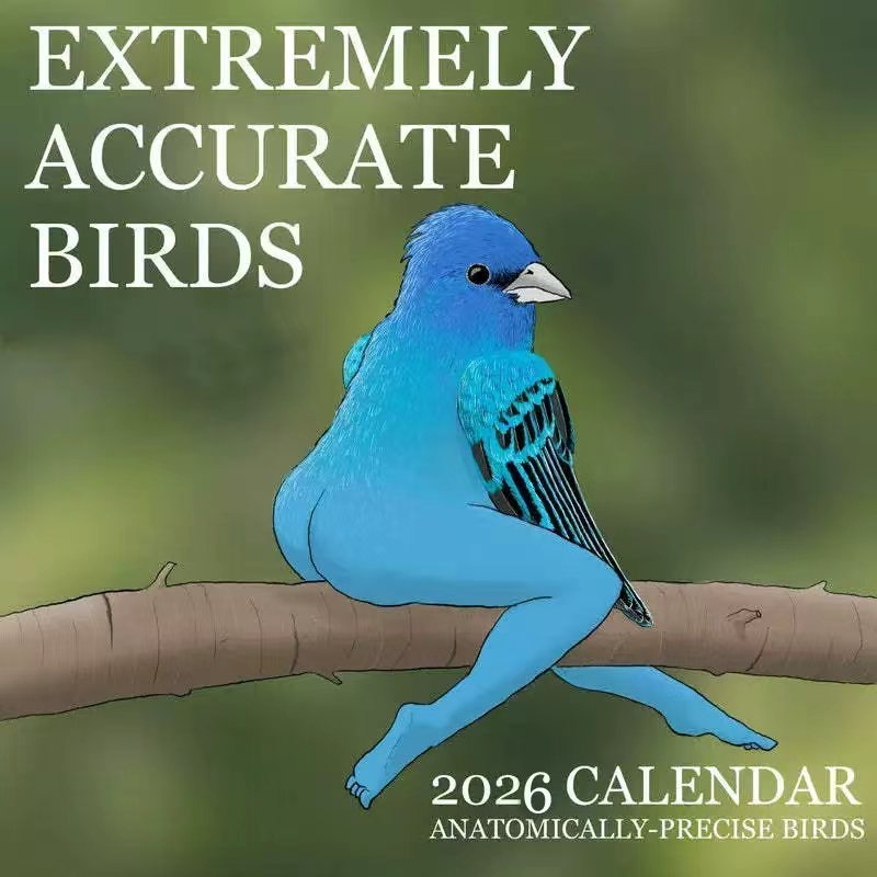 CALENDAR OF EXTREMELY ACCURATE - đánh giá và giá Home Decor Xmas Gifts
