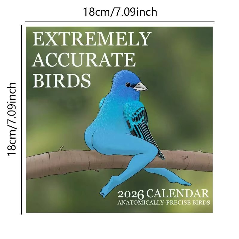 CALENDAR OF EXTREMELY ACCURATE - đánh giá và giá Home Decor Xmas Gifts