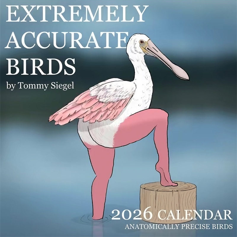 CALENDAR OF EXTREMELY ACCURATE - đánh giá và giá Home Decor Xmas Gifts