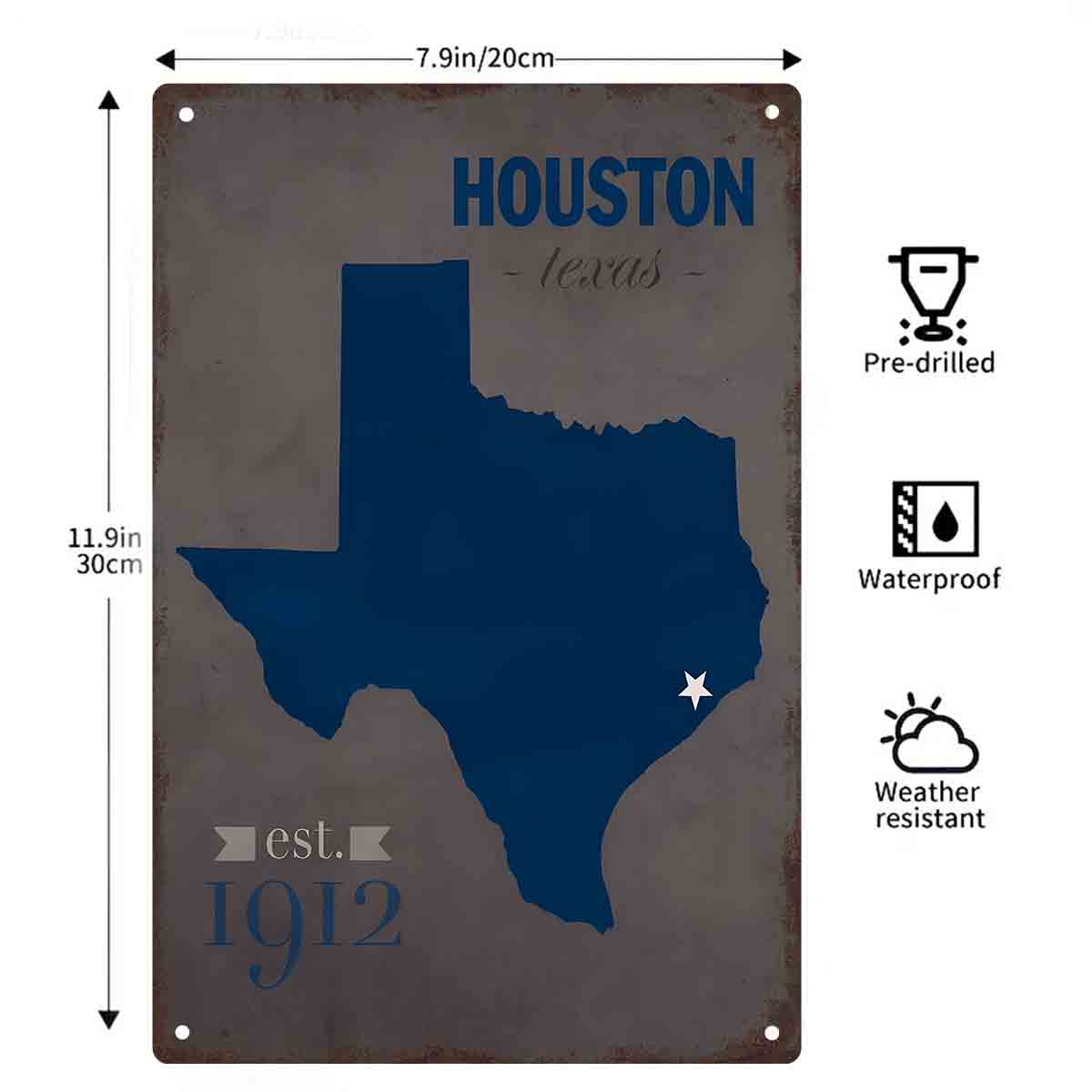 2D FLAT 1pc Houston Texas Blue - đánh giá và giá Home Decor Houston