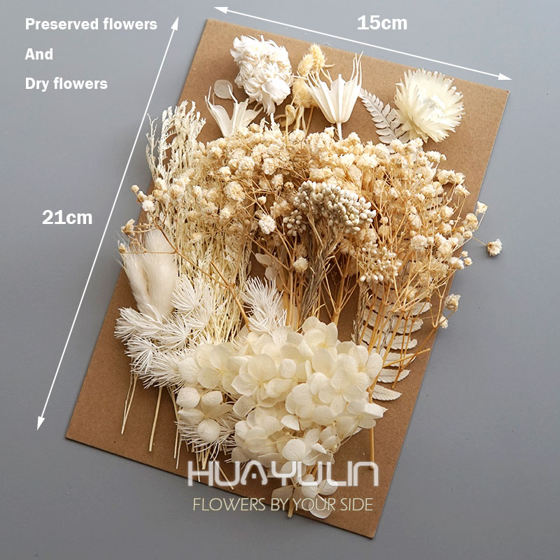 1 Pack Artificial Plants Dried - đánh giá và giá Home Decor Handicraft